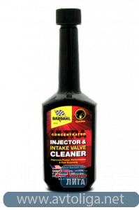 Injector & Intake Valve Cleaner