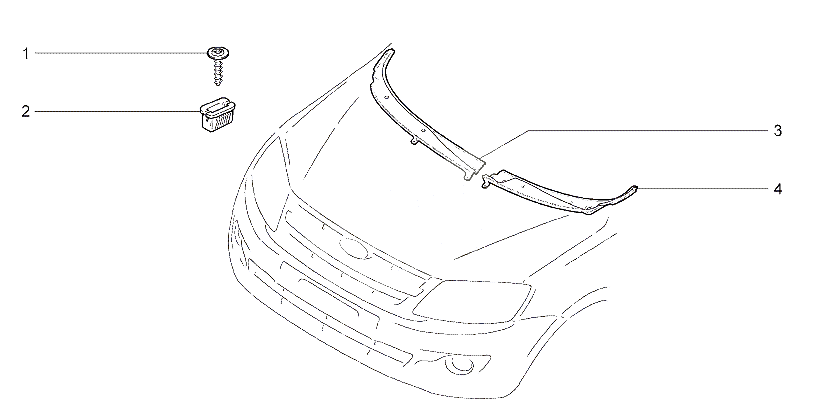 Накладки облицовочные ветрового окна