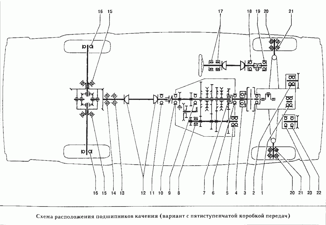 Схема расположения подшипников качения (вариант с пятиступенчатой коробкой передач)