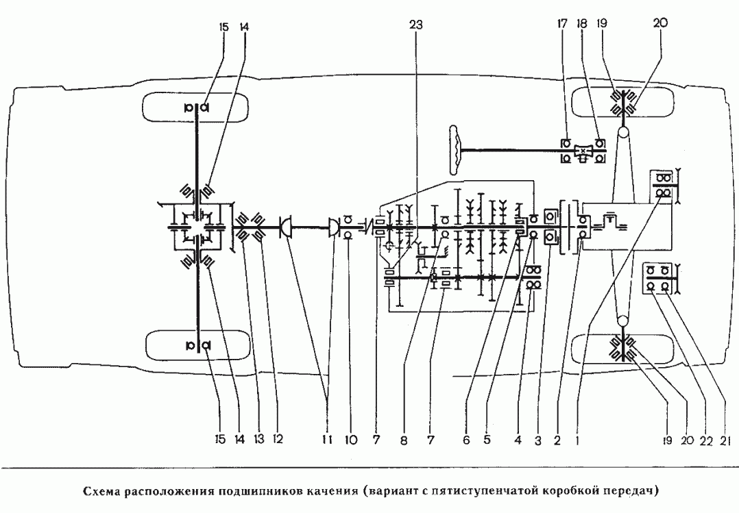 Схема расположения подшипников качения (вариант с пятиступенчатой коробкой передач)