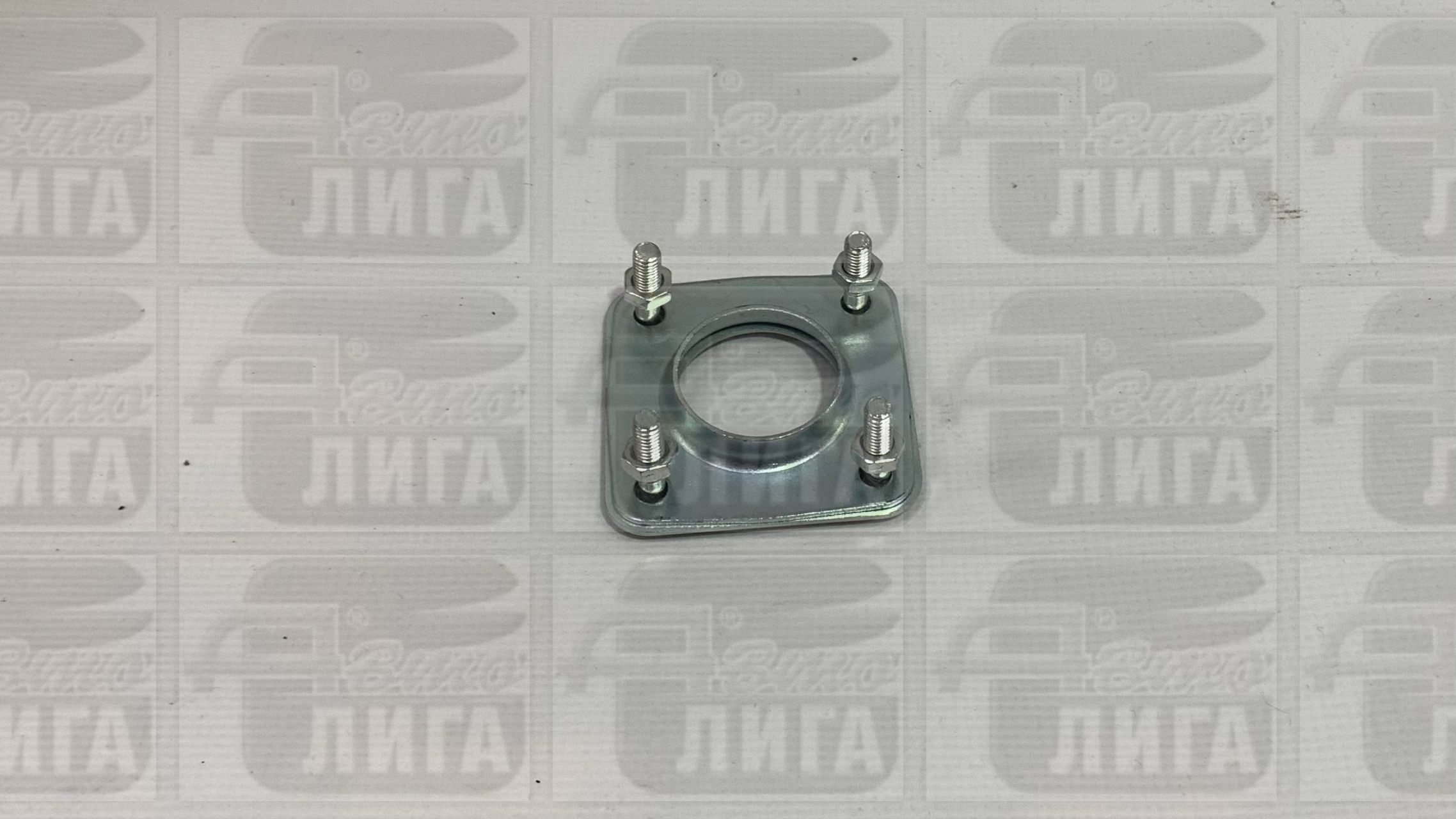 Держатель подшипника генератора ВАЗ 2101-08 г.Самара.