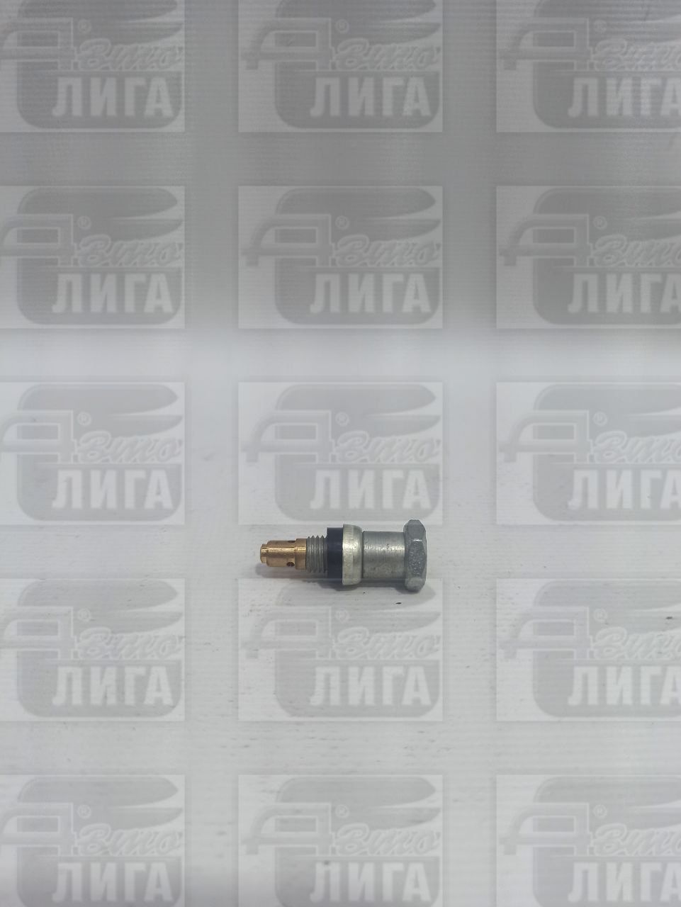 Заглушка электромагнитного клапана ВАЗ 2108 г.Тольятти.