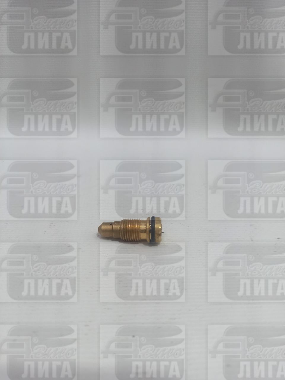 Заглушка электромагнитного клапана ВАЗ 2101 г.Тольятти.