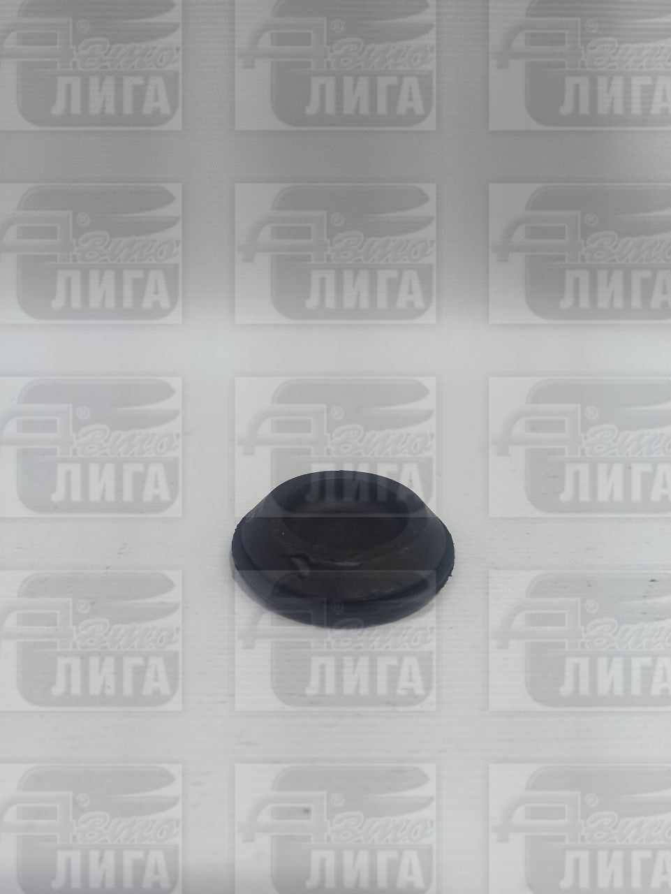 заглушка днищ 5002090