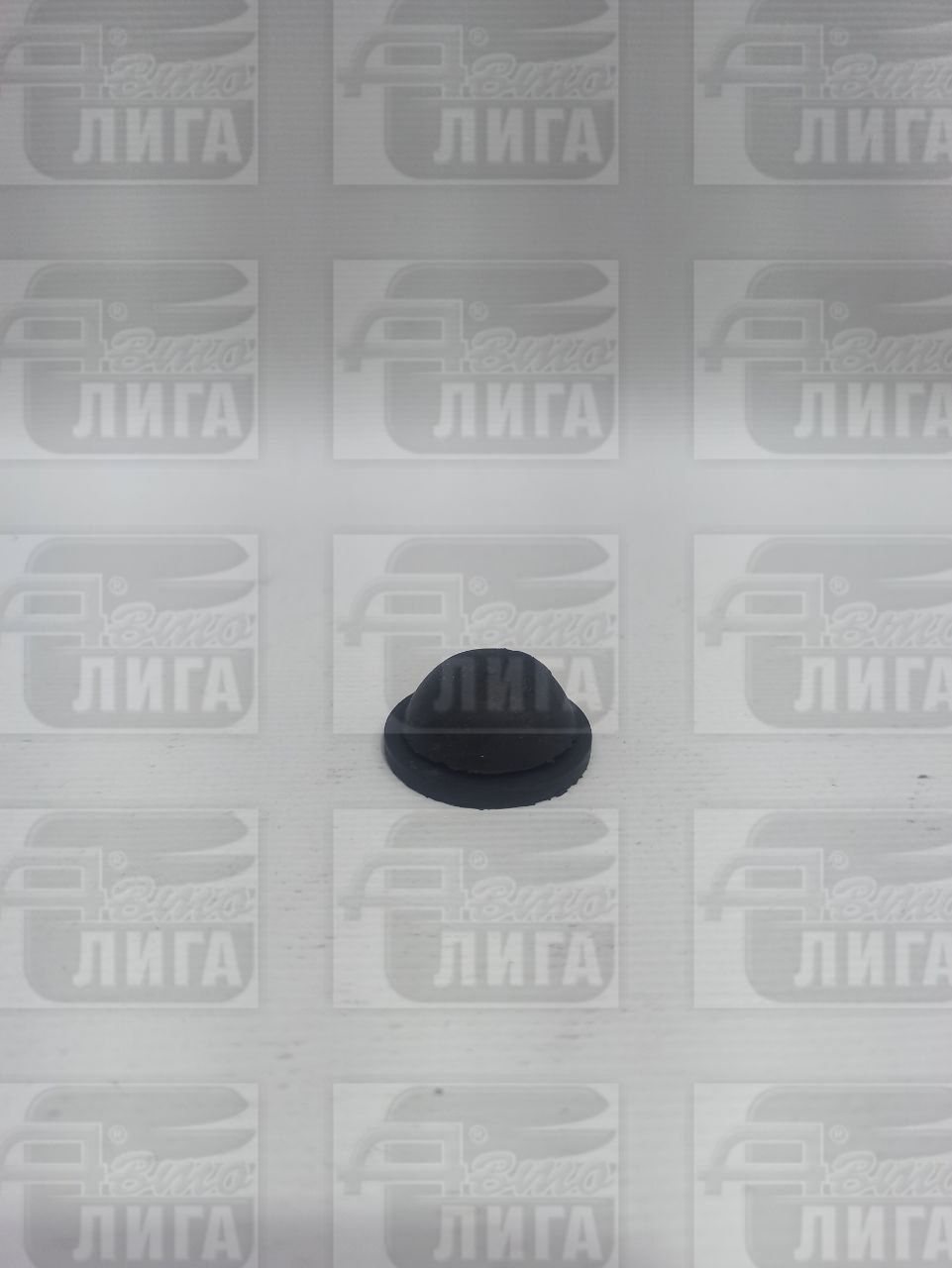 Заглушка днищ 5002092