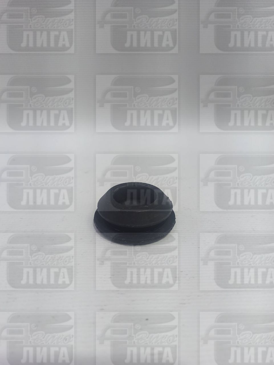 Заглушка днищ 5112090