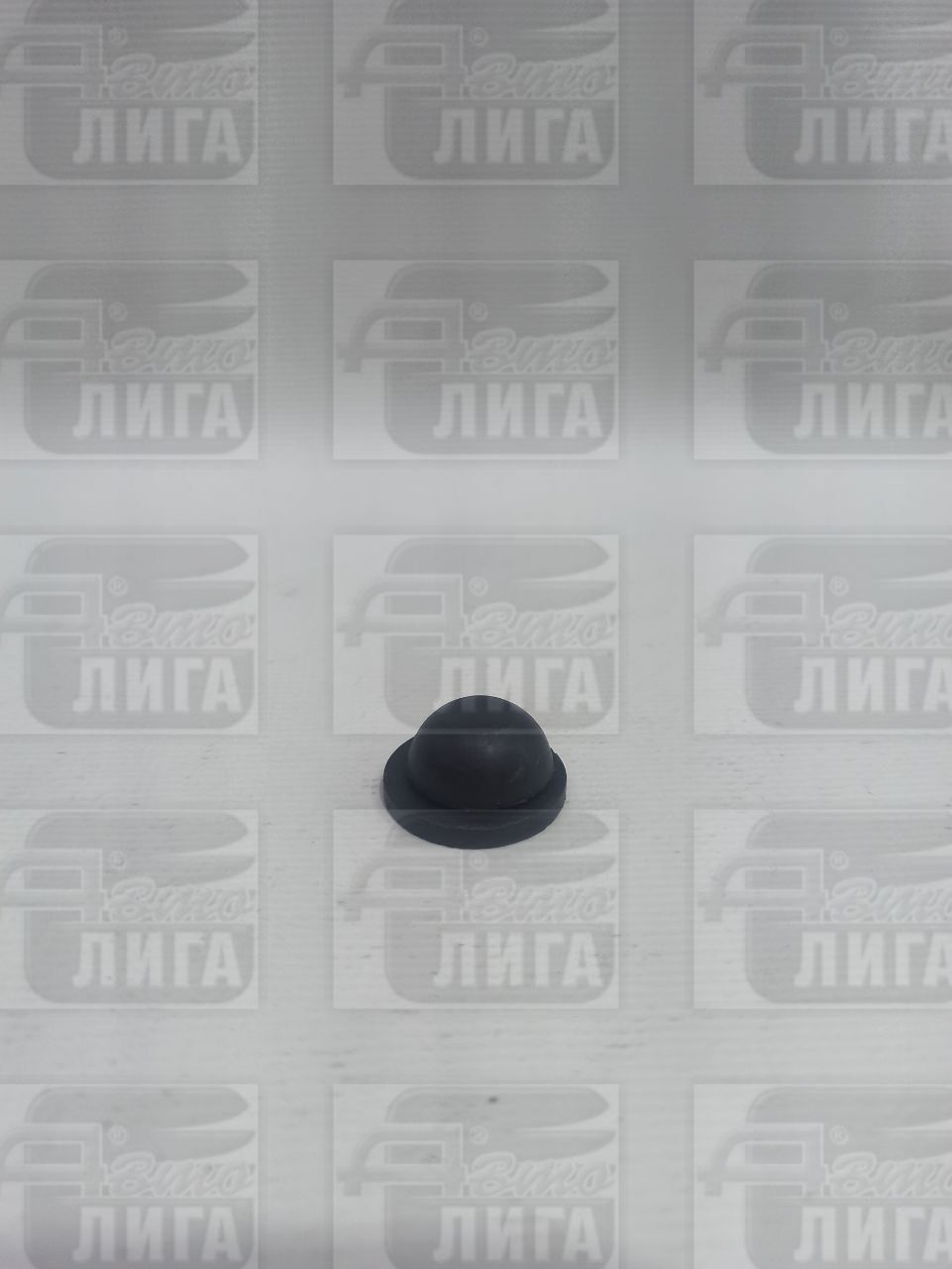 Заглушка днищ 5112092