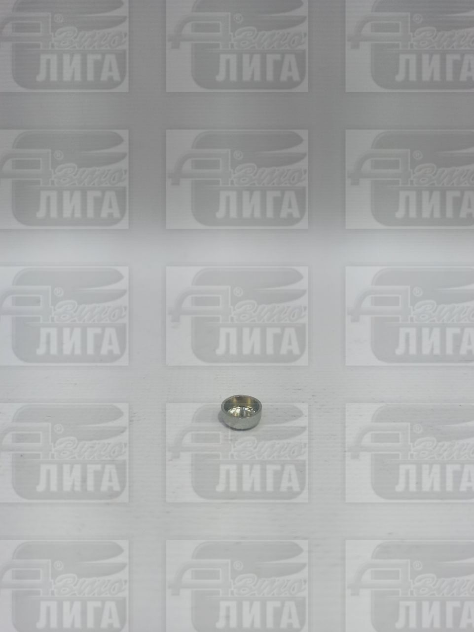 Заглушка коленвала малая ВАЗ БелЗАН-САК.