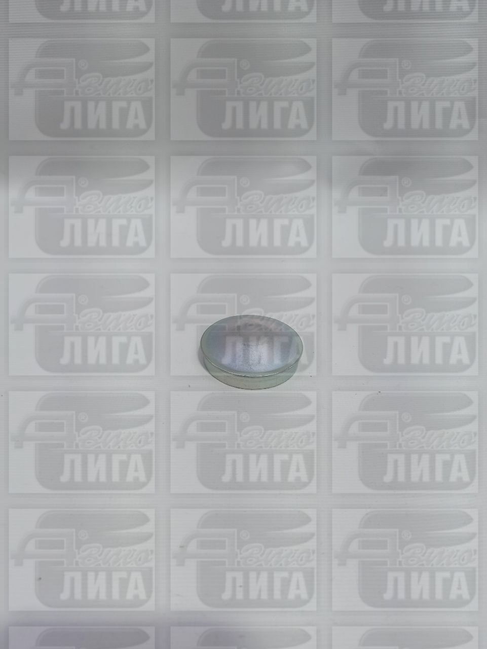 Колпачок ступицы металлический Vesta "г.Тольятти