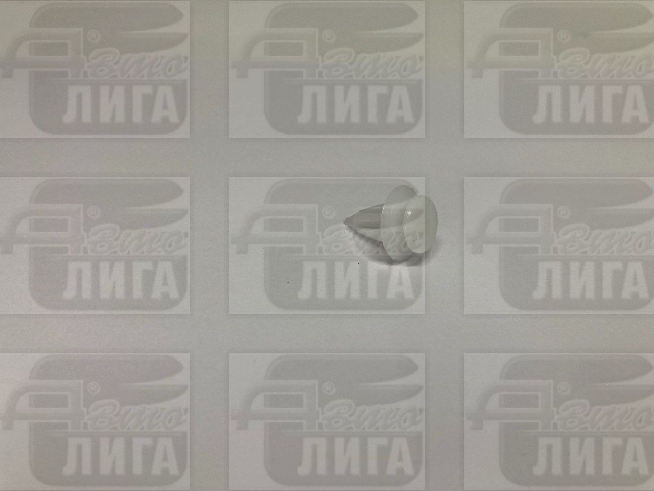 Пистон двери ВАЗ 2170 Приора г.Сызрань.