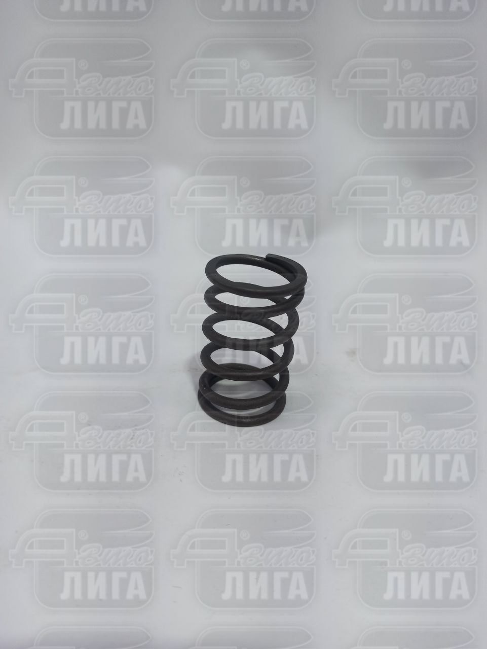 Пружина клапана ВАЗ 2101 наружная большая "БелЗАН".