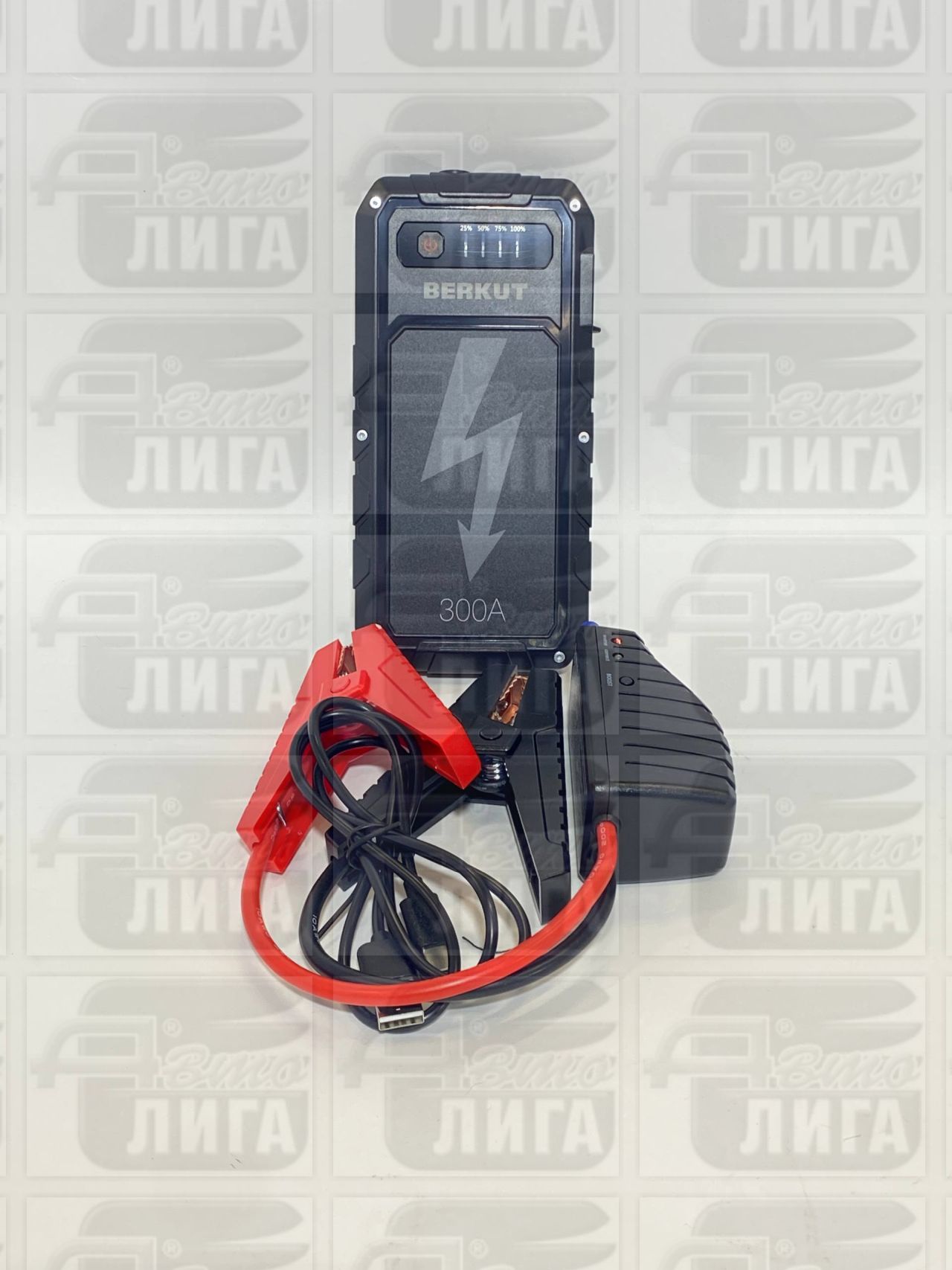 Пуско-зарядное устройство BERKUT JSL-9000