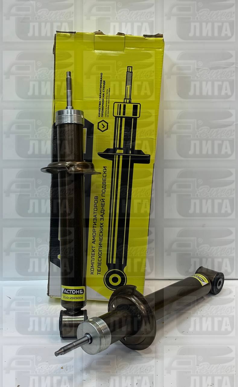 Стойки задние ВАЗ 2110 масло "АСТОН". Стойка задняя (комплект 2 шт).