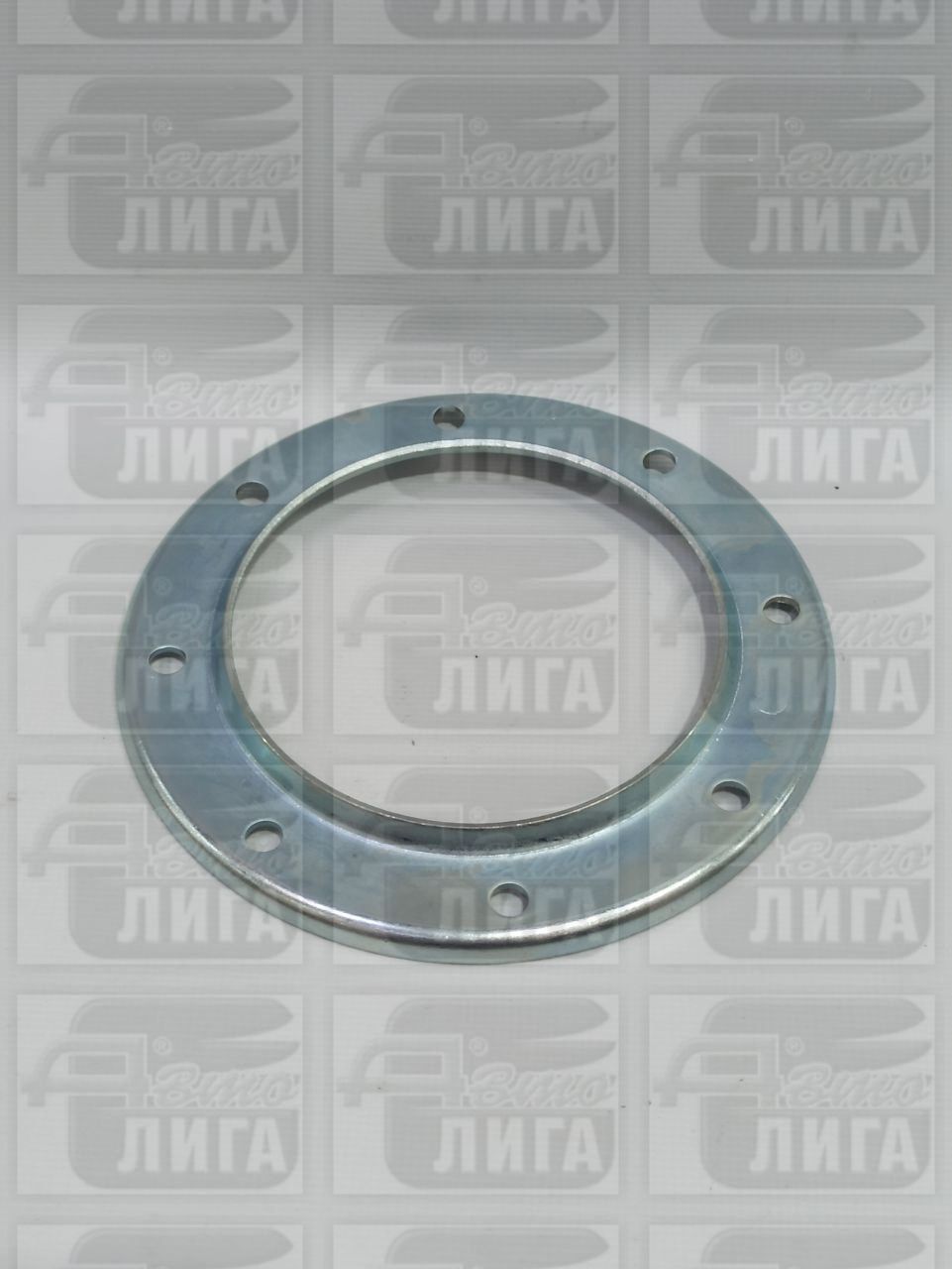 Шайба прижимная электробензонасоса 1,6дв г.Тольятти