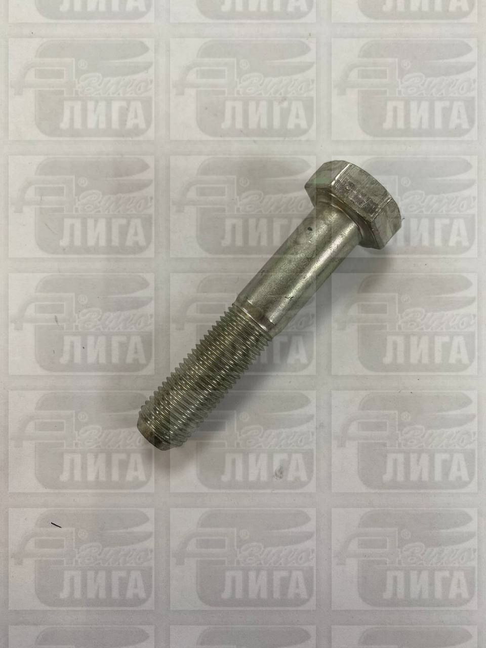 Гайка опоры подвески двигателя ВАЗ 1118-2190 "БелЗАН-САК".