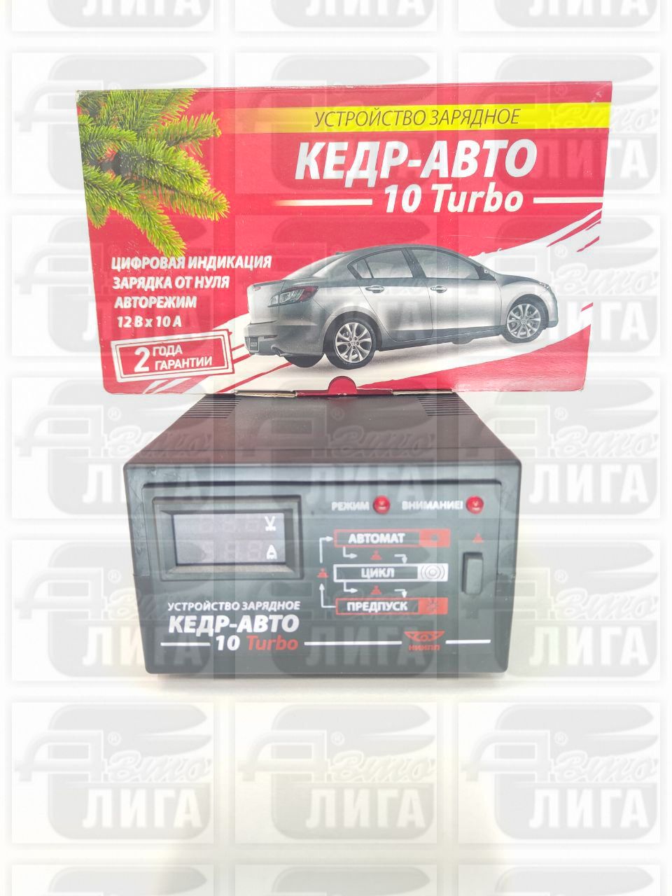 Зарядное устройство "КЕДР" г.Томск.