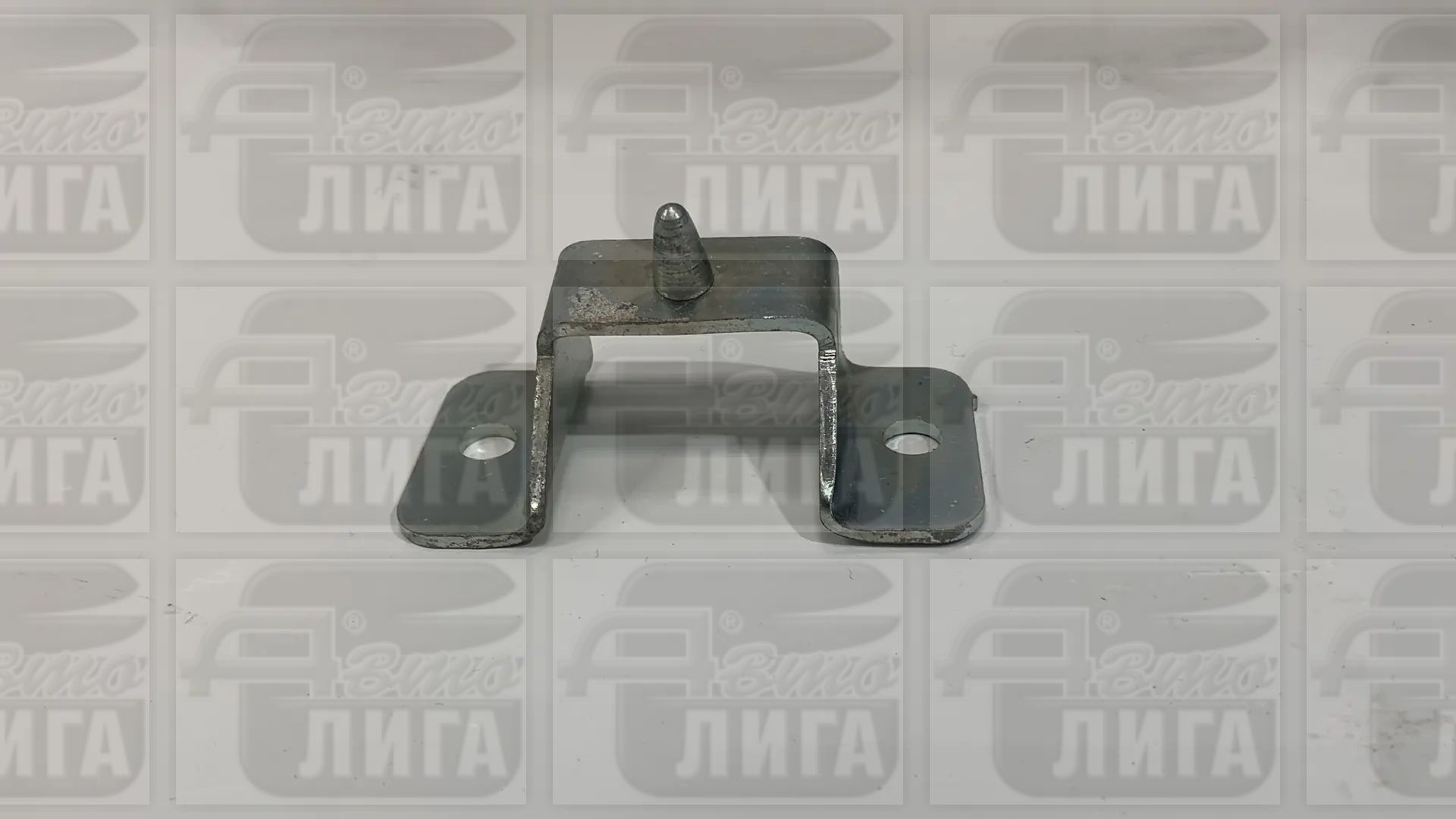 направ.зам.баг.