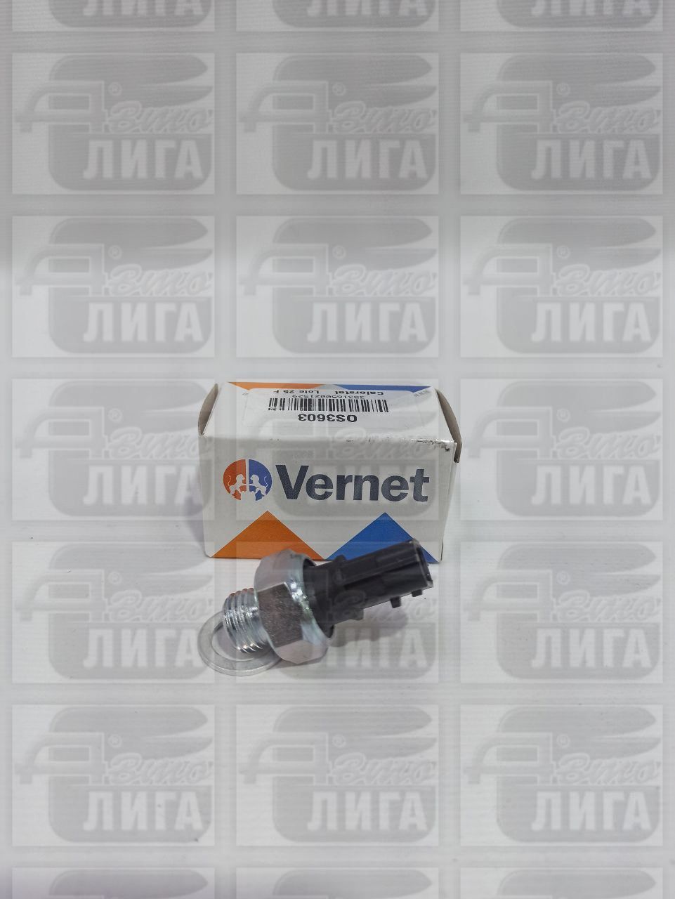 датчик давл.мас.VERNE