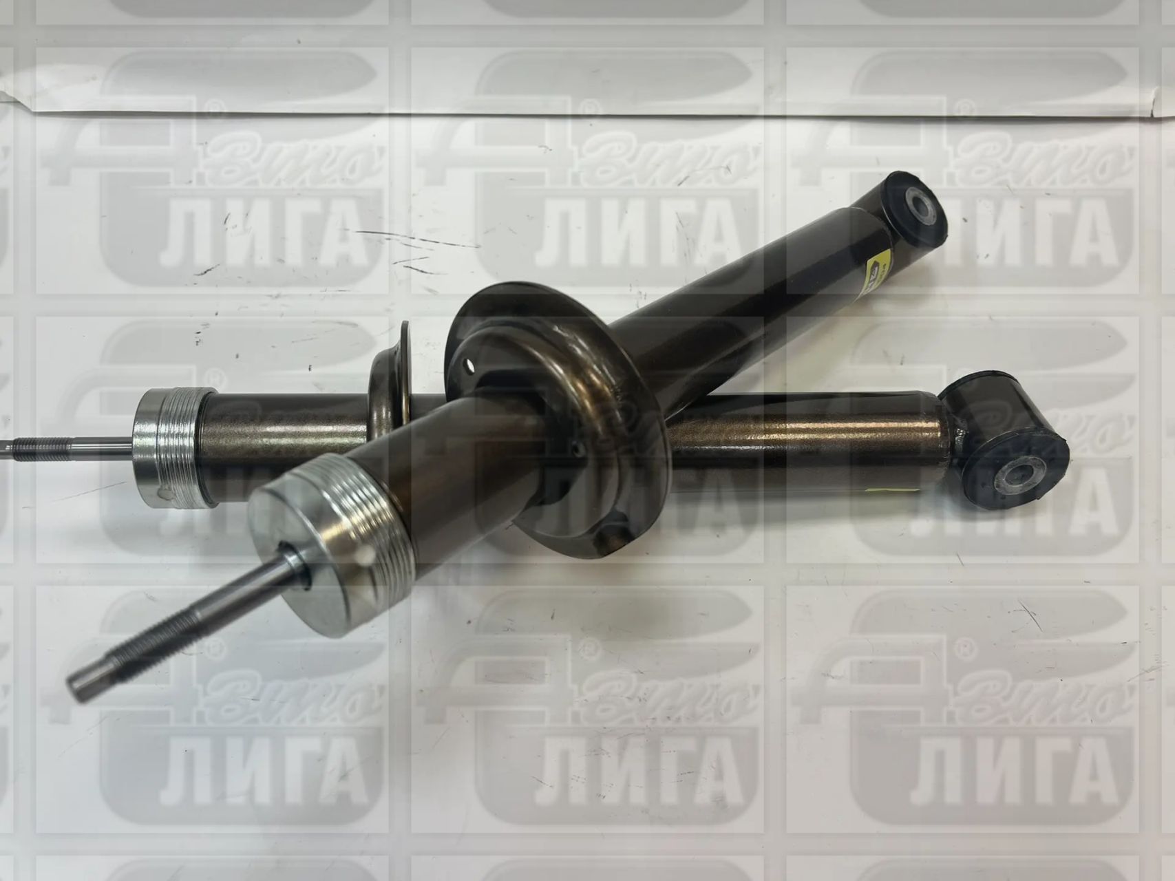 Стойки задние ВАЗ 1119 Калина масло "АСТОН". Стойка задняя (комплект 2 шт).